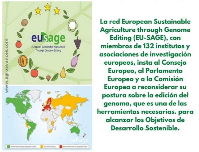 Agricultura sostenible europea a través de la edición del genoma