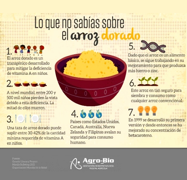 Arroz Dorado
