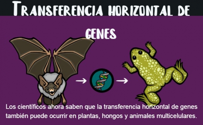 Transferencia horizontal de genes