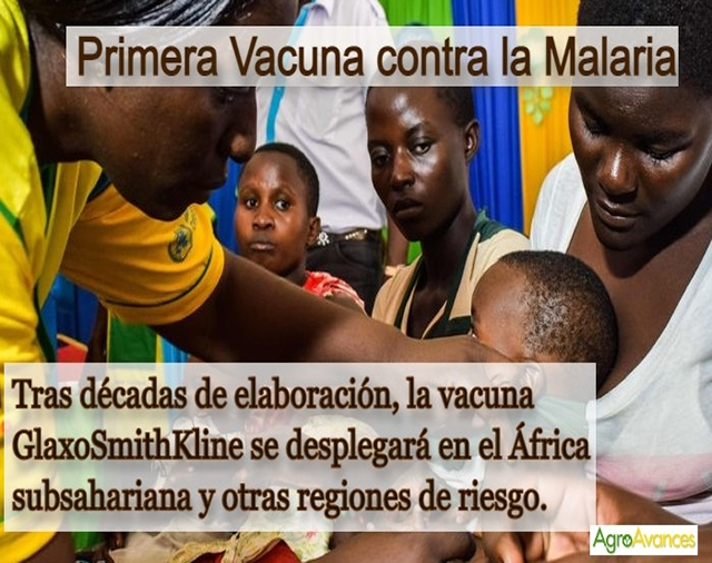 La primera vacuna contra la malaria del mundo cuenta con el respaldo de la OMS