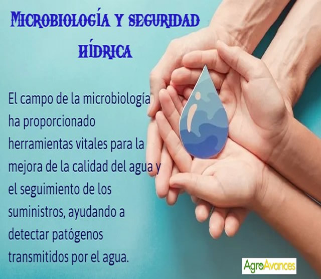 Microbiología y seguridad hídrica