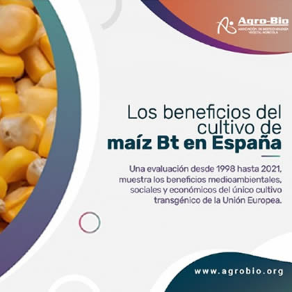 Cultivos de maíz Bt en España evita la emisión de casi 60 mil toneladas de dióxido de carbono