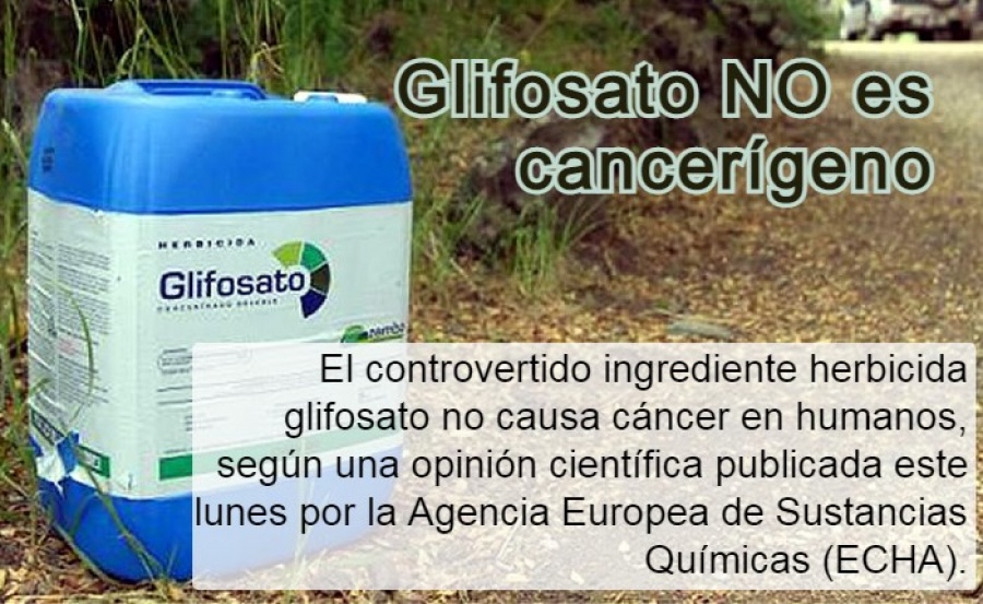 Glifosato NO es cancerígeno - ECHA