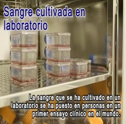 Sangre cultivada en laboratorio administrada a personas en el primer ensayo clínico del mundo
