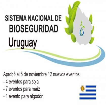 Uruguay aprobó 12 nuevos eventos OGM