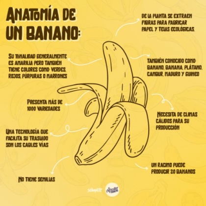 Lo que no conocías del banano