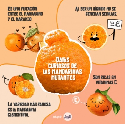 Datos curiosos de las mandarinas mutantes