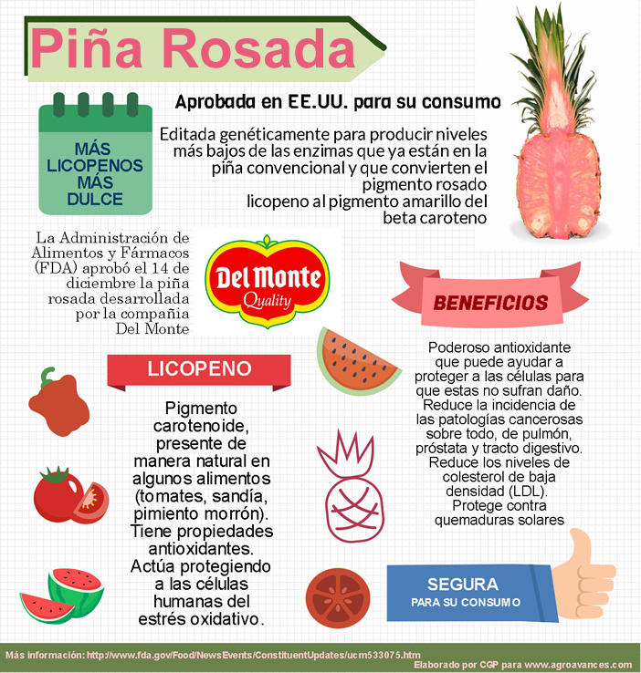 Ingeniería genética: la Piña Rosada es segura para su comercialización, aprobada por la FDA en Estados Unidos